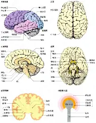 球盟会登录- 利物浦40巴塞罗那全场录像 